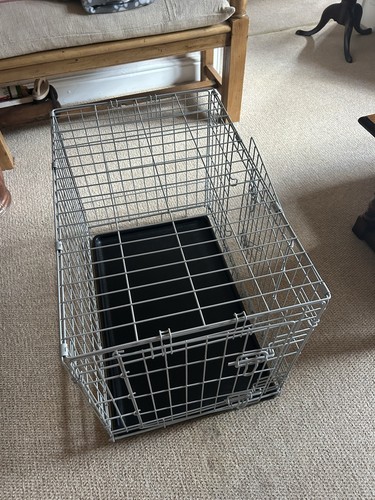 Pets home dog - dog, 2